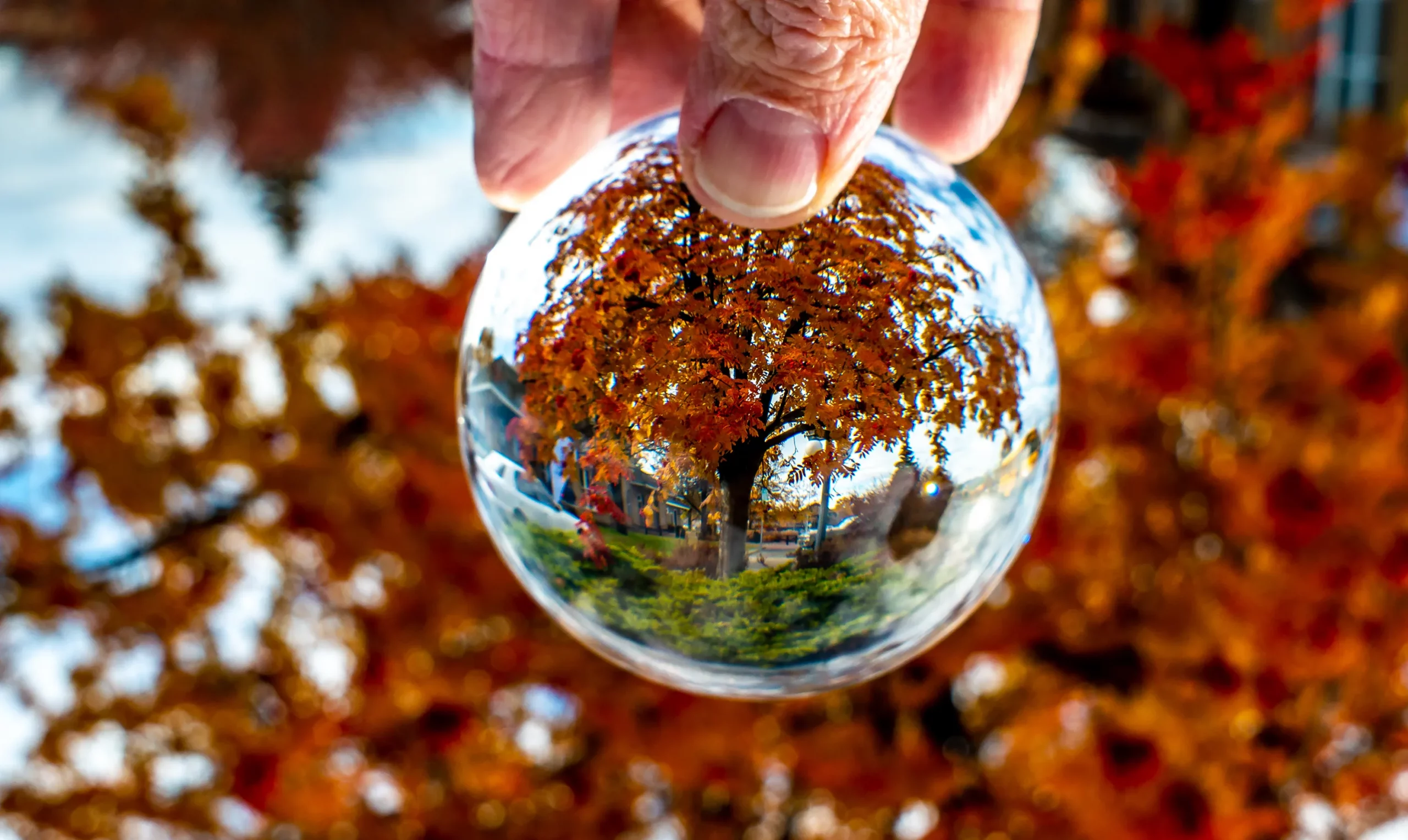 Lensball-Exmaple-7